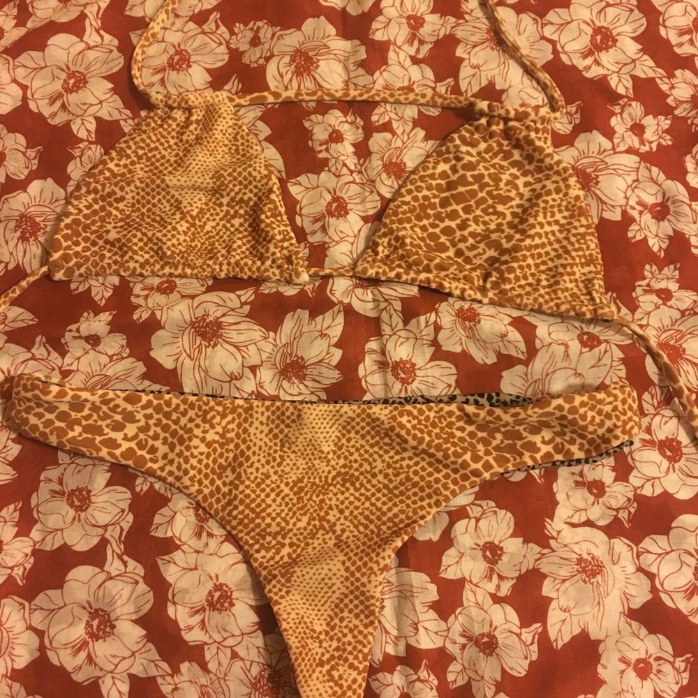 Acacia mud snake set